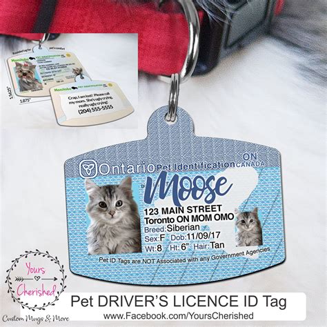 cat rfid tag|drivers license dog tags.